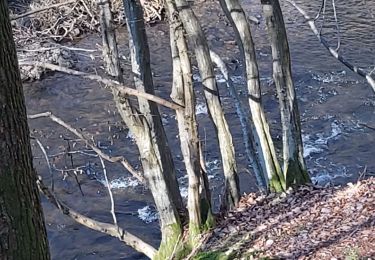Percorso Marcia Érezée - tire la gueule val de Aisne  - Photo