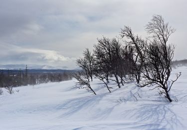 Percorso A piedi  - Kyrkstenen - Photo