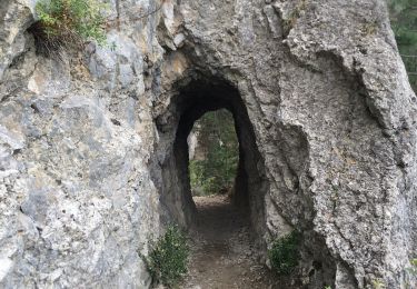 Tour Wandern Menglon - Mayor - Photo