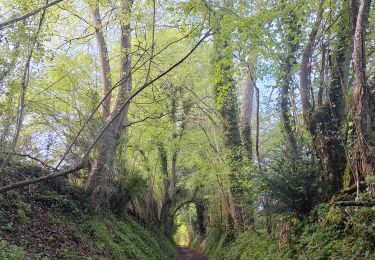 Tour Wandern Valorbiquet - St Cyr du Ronceray/Pretreville  - Photo