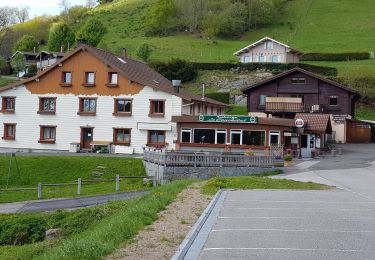 Tocht Stappen La Bresse - Montagne Lama - La Bresse  - Photo