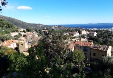 Tour Wandern Bormes-les-Mimosas - Landon- Grateloup-Bormes les Mimosas  - Photo