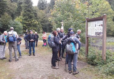 Tour Wandern Lepuix - 2019.09.24.Malvaux - Photo