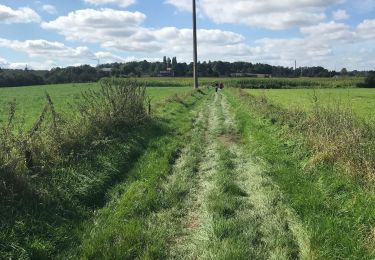 Randonnée Marche Nandrin - Marche à Nandrin  - Photo