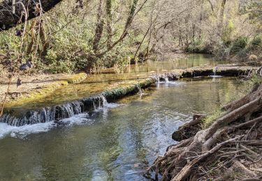 Trail Walking Tourves - les gorges du carami - Photo