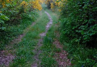 Tour Wandern Les Ulmes - les ulmes 09052024 - Photo