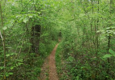 Tocht Stappen Lalinde - Marche 20km - Photo