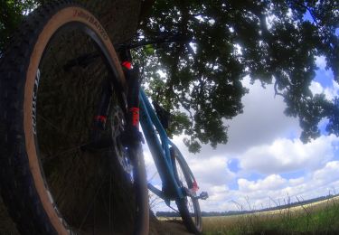 Excursión Bici de montaña Fleurus - VTT des 3 pro - Photo