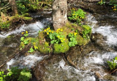 Tocht Stappen Laval-en-Belledonne - Lac de Crop - Photo