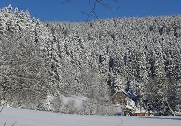 Percorso A piedi Schmallenberg - Sorpetalweg S - Photo