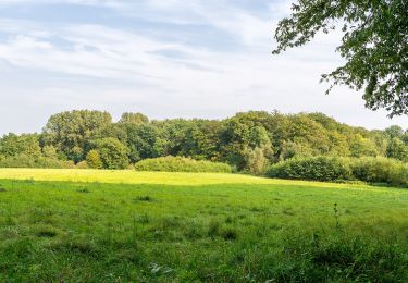 Trail On foot Horn-Bad Meinberg - Norderteich-Rundwanderweg [Billerbeck / Entenkrug] - Photo