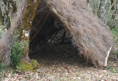 Percorso Marcia Valojoulx - Le petit théâtre de la forêt  - Photo