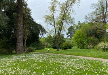 Trail sport Saint-Ouen-sur-Seine - Sob Meudon  - Photo