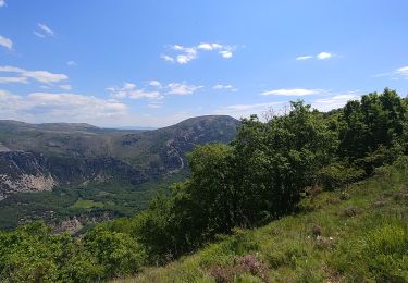 Trail Walking Cipières - gourdon cavilore - Photo