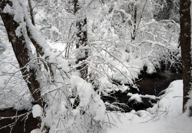 Tour Schneeschuhwandern Basse-sur-le-Rupt - 20210102_raq_Planois_Chalet-des-Charmes - Photo