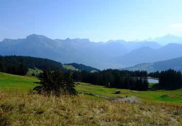 Randonnée A pied Combloux - Randonnée la Croix des Salles - Photo