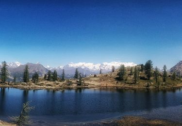 Percorso A piedi Fénis - Veulla - Colle Medzove - Photo