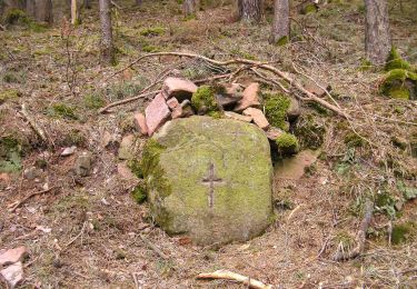 Excursión A pie Biebergemünd - Spessartbogen Zubringer Roßbach - Breitenborn - Photo