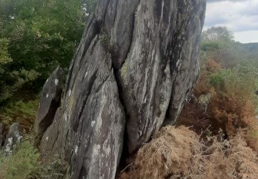 Trail Walking Bon Repos sur Blavet - Gorges de Daoulas - Photo