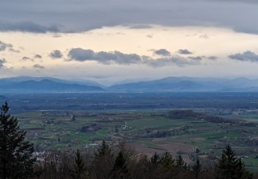 Tocht Stappen Lahr/Schwarzwald - suuntoapp-Hiking-2024-04-01T08-10-15Z - Photo