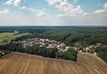 Tour Zu Fuß Lauta - Rundweg um Lauta - Gelber Punkt - Photo