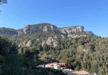 Tocht Stappen Le Revest-les-Eaux - Mont Caume V2 - Photo