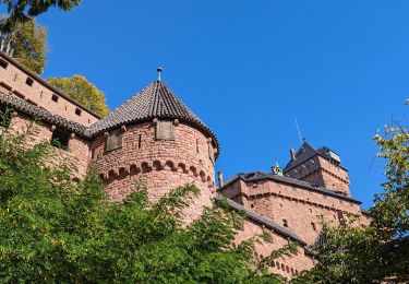 Tour Wandern Kinzheim - suuntoapp-Hiking-2023-10-15T07-53-44Z - Photo