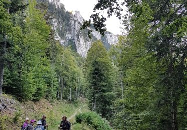 Trail Nordic walking Saint-Nizier-du-Moucherotte - St Nizier - Bois des Mures - Via Vercors 9 km - Photo