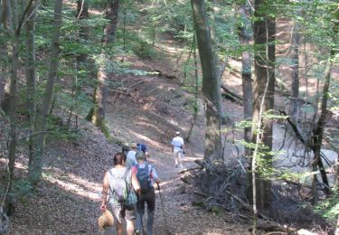 Trail Walking Namur - Citadelle de Namur  - Photo