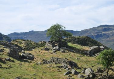 Percorso A piedi Bagnères-de-Bigorre - Le Lac de Peyrelade - Photo