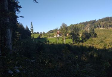 Trail Walking Les Gras - Les Gras 