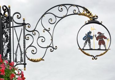 Excursión A pie Stäfa - Stäfa. Ein Dorf bewegt: Mutzmalen - Lattenberg - Photo