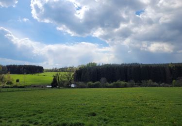 Randonnée Marche Houffalize - rando wibrin 22-04-2024 - Photo