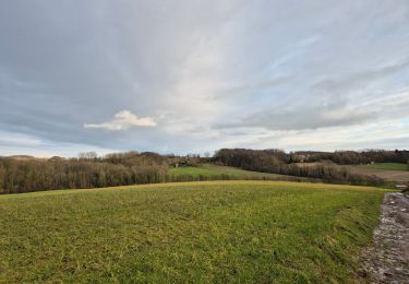 Randonnée Marche Markedal - Flemish Ardennes Challenge - Photo