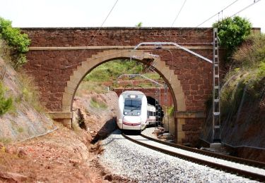 Percorso A piedi Manresa - M1 - Itinerari El Collbaix - Photo