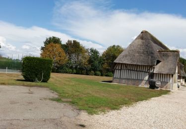 Randonnée Marche Mesnil-en-Ouche - Les jonquerets de livet - Photo