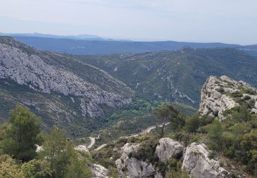 Tocht Stappen Gémenos - Col de l'Espigoulier  - Photo