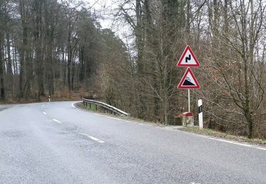 Randonnée A pied Saeul - Cross Track - Photo