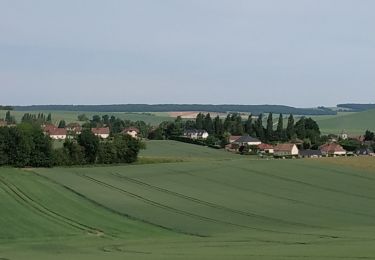 Tour Wandern Prugny - Balade Club 19 mai 2022 - Photo