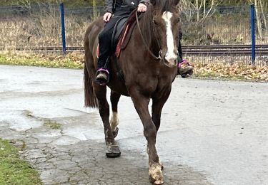 Trail Horseback riding Neufchâteau - Villages Hamipré et Cousteumont  - Photo