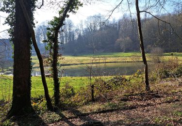 Tour Wandern Clavier - Marche ADEPS Pailhe - Photo