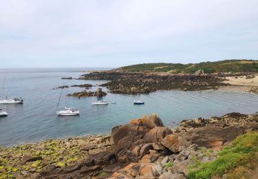 Trail Walking Granville - îles de Chaussey - Photo