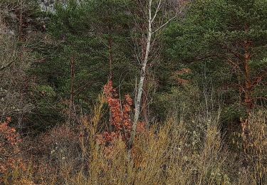 Tour Wandern Estoublon - Gorges de Trevans par Valbonnette - Photo