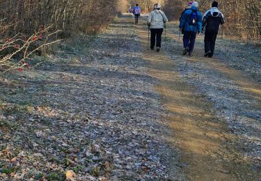 Trail Walking Maidières - les 3 sapins puvenelle - Photo