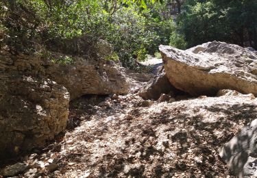 Trail Walking Ollioules - 83 grotte st Martin destel - Photo