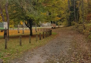 Tour Nordic Walking Reignier-Ésery - Tour des Rocailles 04-11-2018 - Photo