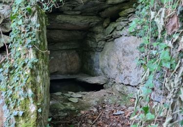 Trail Walking Arrens-Marsous - Le belvédère  Arrêts 24 07 22 - Photo