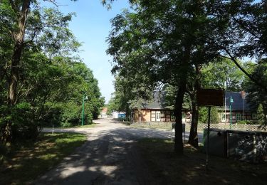 Randonnée A pied Zossen - Rundwanderweg um den Großen und kleinen Zeschsee - Photo