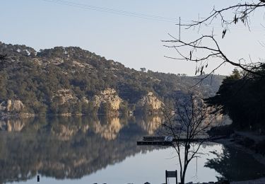 Trail Walking Saint-Julien - 1Départ le long du lac D'Esparon - Photo