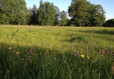 Trail On foot Burg (Spreewald) - Wanderweg Vetschau-Burg - Photo